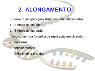 2. ALONGAMENTO
Envolve duas operações distintas, mas relacionadas:
1. Síntese da fita líder
2. Síntese da fita tardia
Início comum na forquilha de replicação envolvendo:
-   helicases
-   topoisomerase
-   DNA binding proteins
 