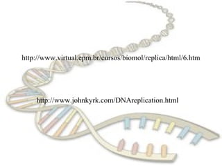 http://www.virtual.epm.br/cursos/biomol/replica/html/6.htm




    http://www.johnkyrk.com/DNAreplication.html
 