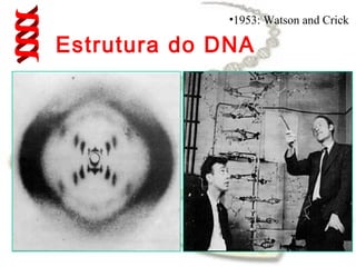 •1953: Watson and Crick

Estrutura do DNA
 