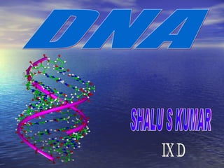 SHALU S KUMAR IX D DNA 