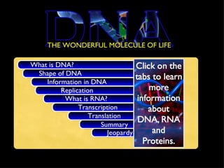 [object Object],Shape of DNA What is DNA? Information in DNA Replication Summary What is RNA? Transcription Translation Jeopardy 