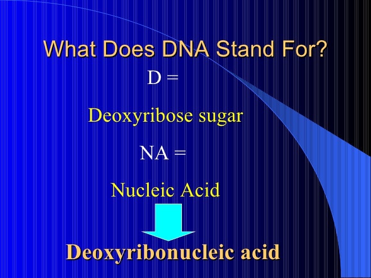 dna stands for