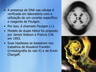 • A presença de DNA nas células é
  verificada em laboratório com a
  utilização de um corante específico:
  o reagente de Feulgen.
• Por isso, é chamado Feulgen (+).
• Modelo de dupla hélice foi proposto
  por James Watson e Francis Crik
  em 1953.
• Suas hipóteses se basearam nos
  trabalhos de Rosalind Franklin
  (cristalografia de raio X) e de Erwin
  Chargaff.
 
