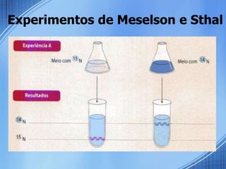 Experimentos de Meselson e Sthal
 