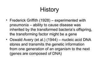 History
• Frederick Griffith (1928) – experimented with
  pneumonia – ability to cause disease was
  inherited by the transformed bacteria’s offspring,
  the transforming factor might be a gene
• Oswald Avery (et al.) (1944) – nucleic acid DNA
  stores and transmits the genetic information
  from one generation of an organism to the next
  (genes are composed of DNA)
 
