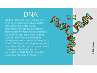 DNA
Os dois filamentos que compõem o
DNA se enrolam, um sobre o outro,
formando uma dupla hélice,
semelhante um espiral de caderno,
podendo ter milhares de nucleotídeos.
Como já foi dito, estas duas cadeias
mantêm-se unidas por pontes de
hidrogênio entre os pares de bases A-
>T e C->G, formando sempre ma cadeia
complementar. Se tivermos uma cadeia
com a seguinte seqüência de
nucleotídeos AATCTGCAC, a cadeia
complementar será TTAGACGTG.
 