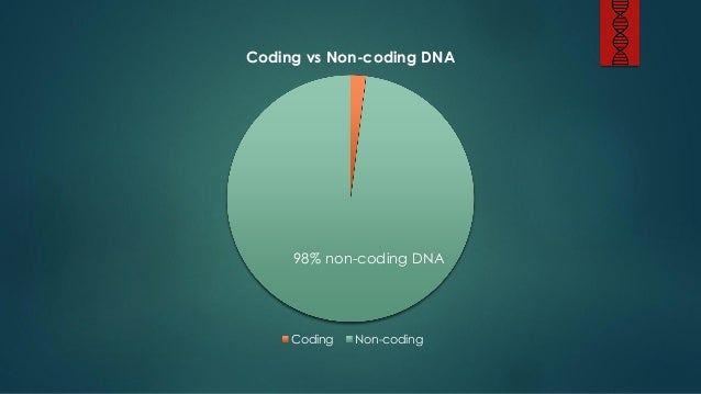 NYC* 2013 - "Analyzing the Human Genome/DNA with Cassandra"