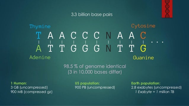 Tat A G Ca T Billion Base Pairs Thymine Cytosine T A A C C C N A A C Tat A G Ca T Billion Base Pairs Thymine Cytosine T A A C C C N A A C