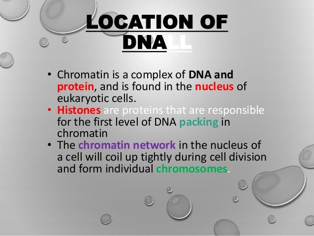 Dna the code of life video picture