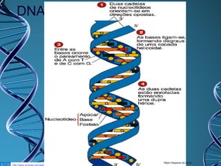 DNA

http://www.youtube.com/watch?v=qy8dk5iS1f0

https://dspace.ist.utl.pt/

 