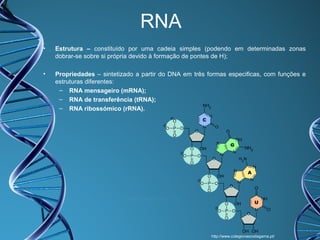 RNA
•

Estrutura – constituído por uma cadeia simples (podendo em determinadas zonas
dobrar-se sobre si própria devido à formação de pontes de H);

•

Propriedades – sintetizado a partir do DNA em três formas especificas, com funções e
estruturas diferentes:
– RNA mensageiro (mRNA);
– RNA de transferência (tRNA);
– RNA ribossómico (rRNA).

http://www.colegiovascodagama.pt/

 