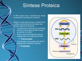 Síntese Proteica
•

O DNA regula toda a atividade das células
controlando a produção de proteínas.

•

Watson e Crick descreveram a existência de
um fluxo unidirecional de informação dos
ácidos nucleicos às proteínas:
– As proteínas só poderão ser produzidas
quando a informação genética chegar
ao exterior do núcleo;
– Assim, essa informação tem que ser
copiada para uma molécula de RNA:

 Transcrição;
–

A informação transportada pelo RNA é
utilizada para sintetizar proteínas:

 Tradução.

 