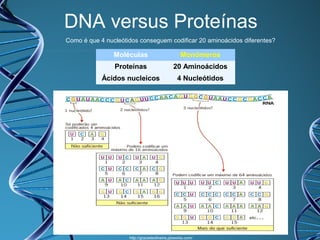 DNA versus Proteínas
Como é que 4 nucleótidos conseguem codificar 20 aminoácidos diferentes?

Moléculas

Monómeros

Proteínas

20 Aminoácidos

Ácidos nucleicos

4 Nucleótidos

http://gracieteoliveira.pbworks.com/

 