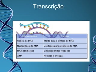 Transcrição

 