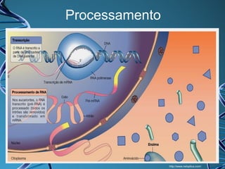 Processamento

http://www.netxplica.com/

 