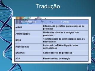 Tradução

 