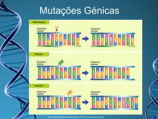 Mutações Génicas

http://e-portefoliobio.blogspot.pt/2011/03/mutacoes-genicas.html

 