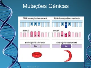 Mutações Génicas

http://www.cientic.com/

 