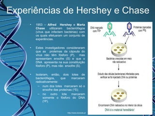 Experiências de Hershey e Chase
•

1953 – Alfred Hershey e Marta
Chase utilizaram bacteriófagos
(vírus que infectam bactérias) com
os quais efetuaram um conjunto de
experiências.

•

Estes investigadores consideraram
que as proteínas da cápsula do
vírus não têm fósforo (P), mas
apresentam enxofre (S) e que o
DNA apresenta na sua constituição
fósforo (P), mas não enxofre (S).

•

Isolaram, então, dois lotes de
bacteriófagos,
que
marcaram
radioativamente:
– num dos lotes marcaram só o
enxofre das proteínas (35S);
– no
outro
lote
marcaram
somente o fósforo do DNA
(32P).

http://www.biorede.pt

 