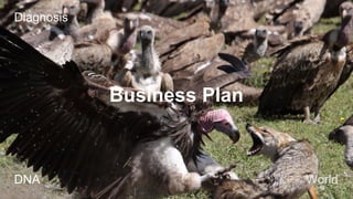 Diagnosis
Business Plan
DNA
World
