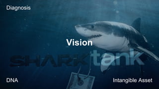 Diagnosis

Vision

DNA

Intangible Asset

 