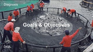 Diagnosis
Goals & Objectives
DNA
Control