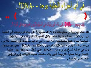 ‫لقد ثبت تجريبيا أن معلومات -‪ -DNA‬مسؤولة عن بناءالبروتينات في الخلية‬
‫ ً‬
‫أن –‪ – DNA‬يصنع جزيئا خاصا ينقل التعليمات الوراثية في –‪DNA‬‬
‫ ً‬
‫ ً‬
‫الخاصة ببناء عديد ببتايدمعين من النواة إلى الرايبوسومات في السيتو بلمزم ،‬
‫ويسمى هذا الجزيء –‪ -RNA‬الرسول .-‪،(messenger RNA (m RN‬‬
‫وتدعى عملية نسخ جزيء من –‪ -DNA‬على شكل –‪ -m RNA‬عملية‬
‫النسخ ،وأما عملية الترجمة فهي بناء سلسلة عديدة الببتايد )بروتين(من‬
‫المحماض المينية .‬

 