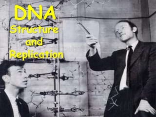 DNA

Structure
and
Replication

 