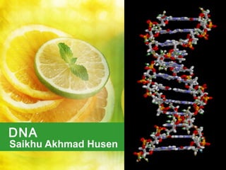 DNA

Saikhu Akhmad Husen

 