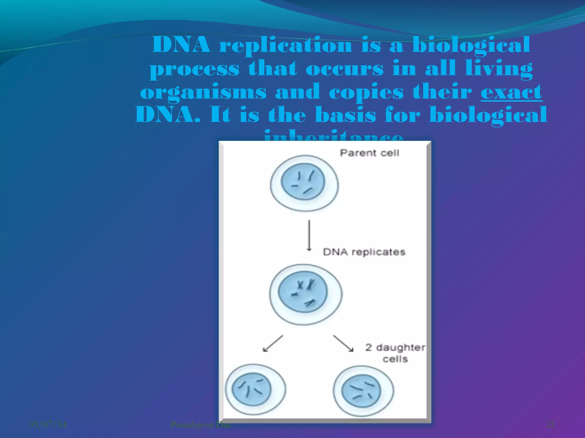 DNA replication is a biological
process that occurs in all living
organisms and copies their exact
DNA. It is the basis for biological
inheritance.

03/07/14

Pranabjyoti Das

21

 