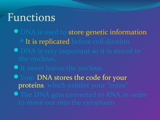 Functions
DNA is used to store genetic information
It is replicated before cell division

DNA is very important so it is stored in

the nucleus.
It never leaves the nucleus
Your DNA stores the code for your
proteins, which exhibit your “traits”
The DNA gets converted to RNA in order
to move out into the cytoplasm

 