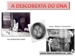 DNA -  A MOLÉCULA DA VIDA.