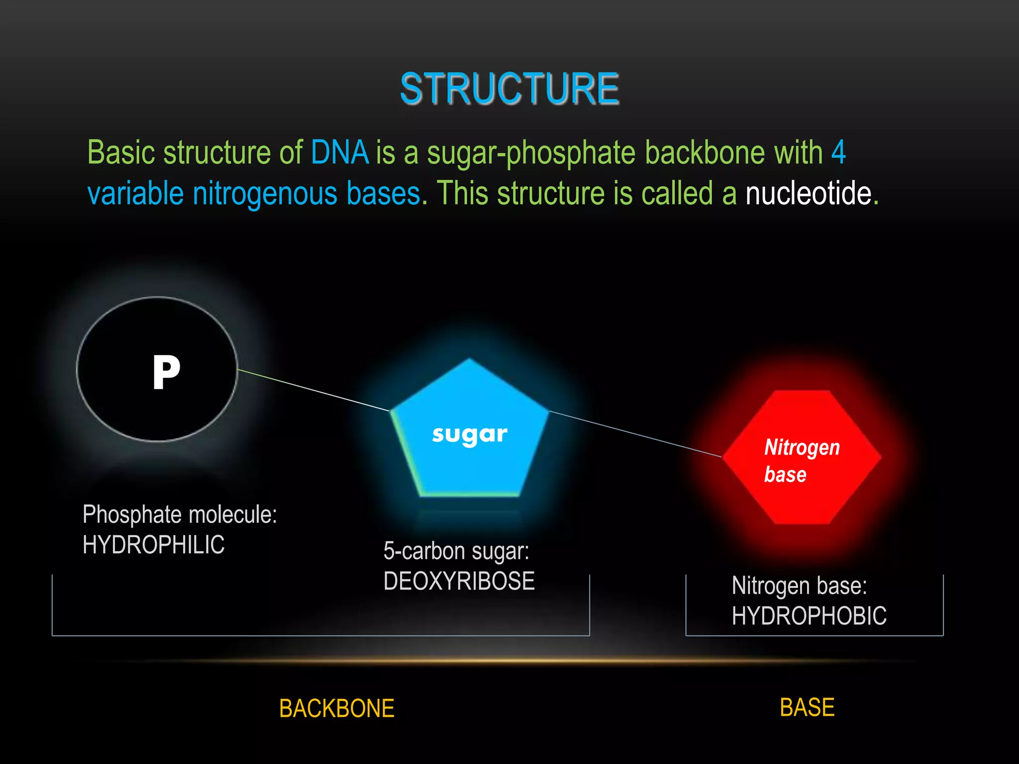 A complete PPT on DNA | PPTX