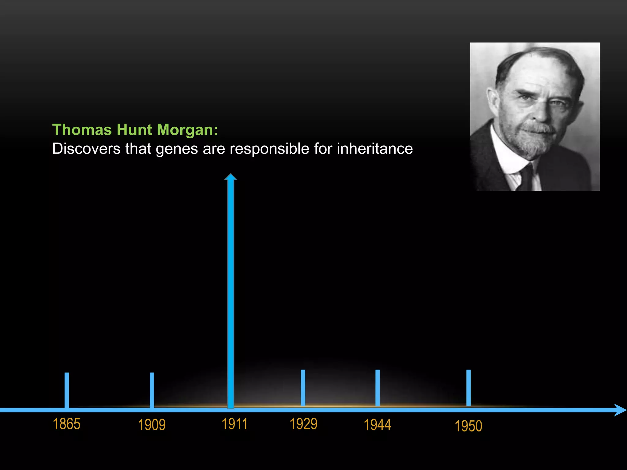 Thomas Hunt Morgan: 
Discovers that genes are responsible for inheritance 
1865 1909 1911 1929 1944 1950 
 