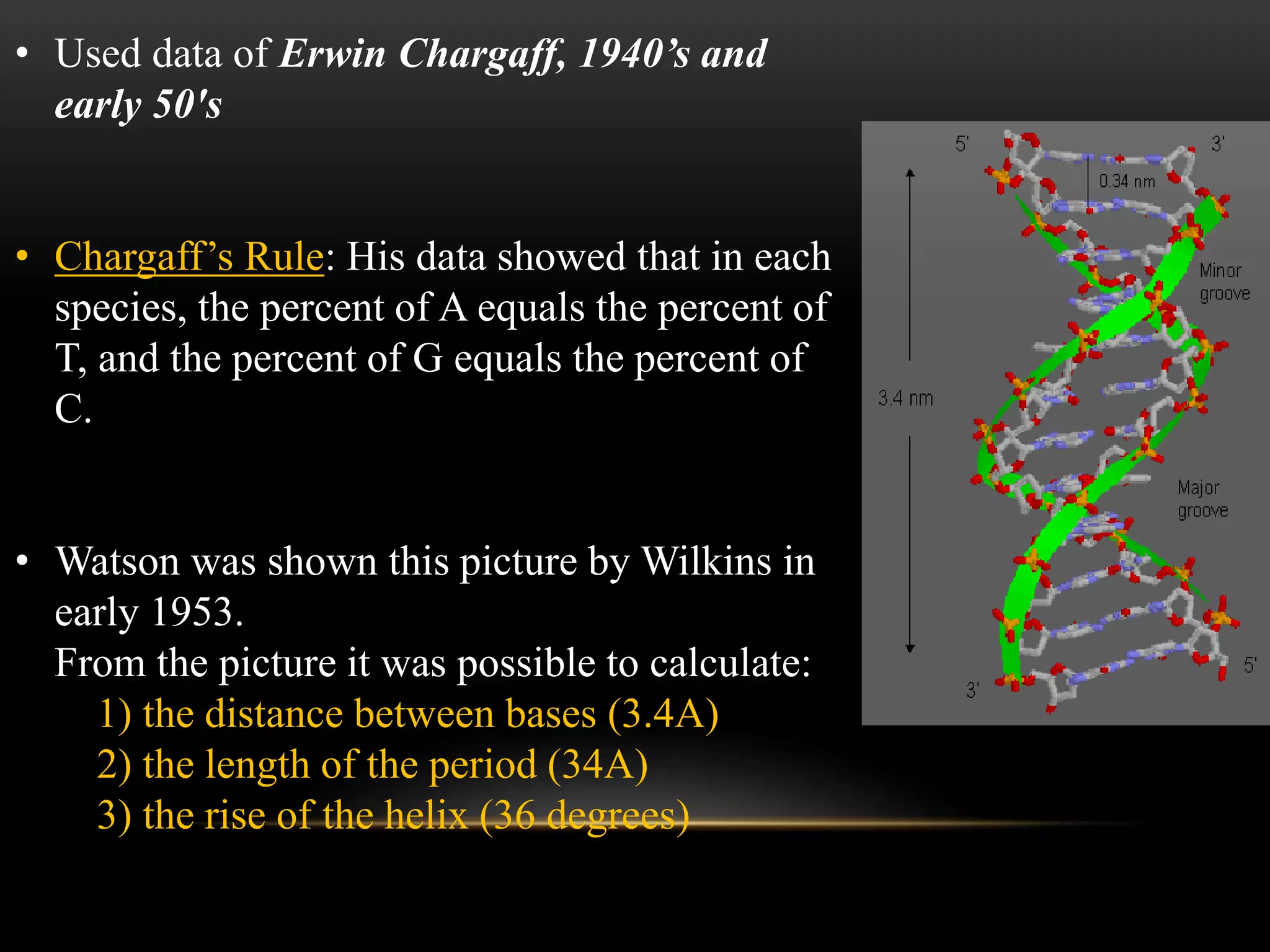 • Used data of Erwin Chargaff, 1940’s and 
early 50's 
• Chargaff’s Rule: His data showed that in each 
species, the percent of A equals the percent of 
T, and the percent of G equals the percent of 
C. 
• Watson was shown this picture by Wilkins in 
early 1953. 
From the picture it was possible to calculate: 
1) the distance between bases (3.4A) 
2) the length of the period (34A) 
3) the rise of the helix (36 degrees) 
 