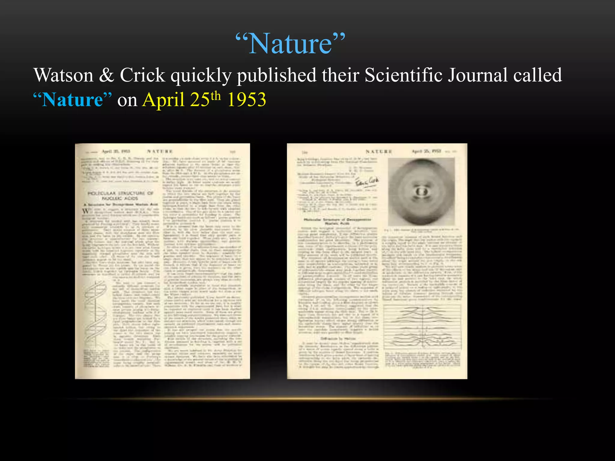 “Nature” 
Watson & Crick quickly published their Scientific Journal called 
“Nature” on April 25th 1953 
 