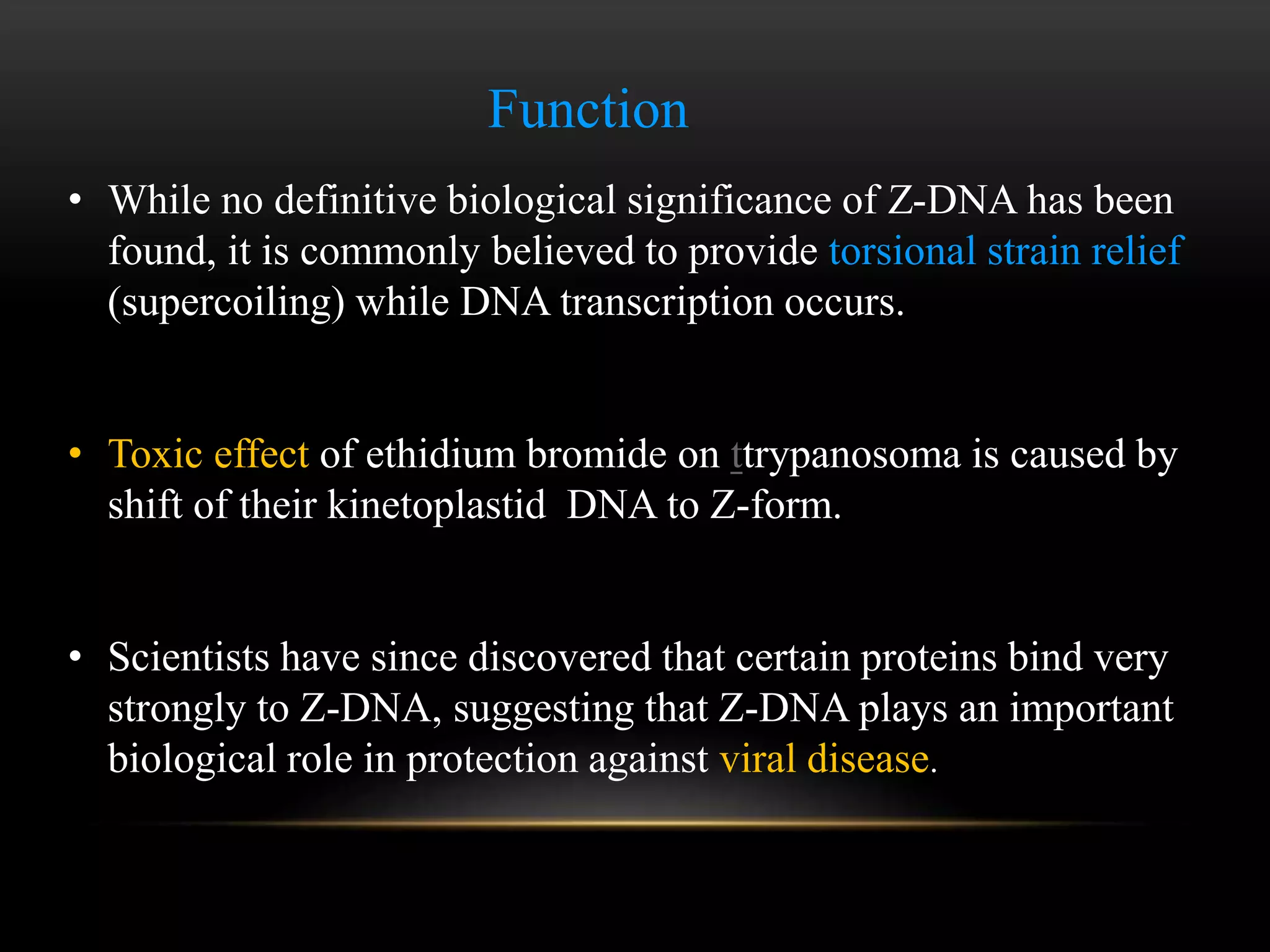 Function 
• While no definitive biological significance of Z-DNA has been 
found, it is commonly believed to provide torsional strain relief 
(supercoiling) while DNA transcription occurs. 
• Toxic effect of ethidium bromide on ttrypanosoma is caused by 
shift of their kinetoplastid DNA to Z-form. 
• Scientists have since discovered that certain proteins bind very 
strongly to Z-DNA, suggesting that Z-DNA plays an important 
biological role in protection against viral disease. 
 