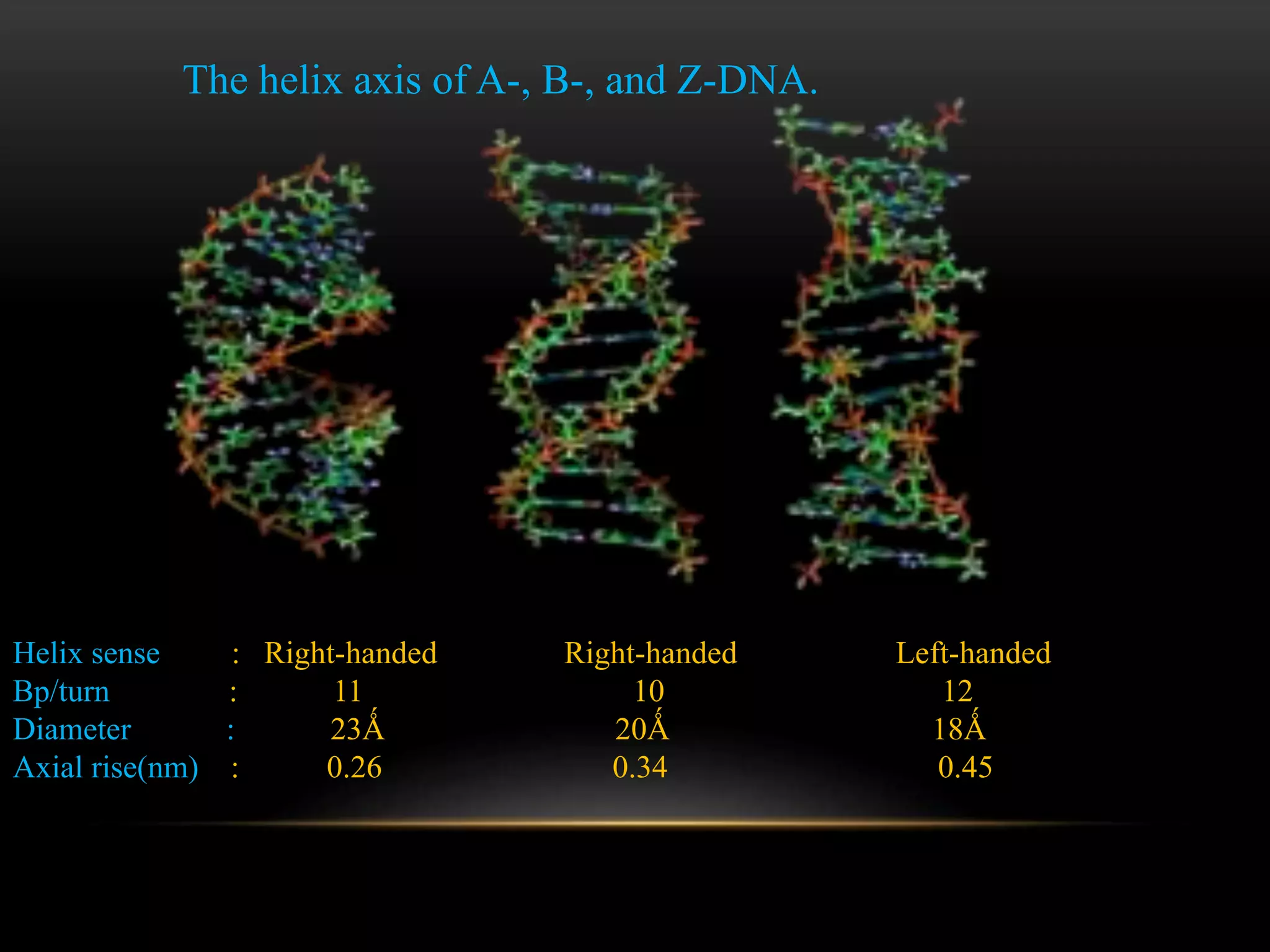 The helix axis of A-, B-, and Z-DNA. 
Helix sense : Right-handed Right-handed Left-handed 
Bp/turn : 11 10 12 
Diameter : 23Ǻ 20Ǻ 18Ǻ 
Axial rise(nm) : 0.26 0.34 0.45 
 