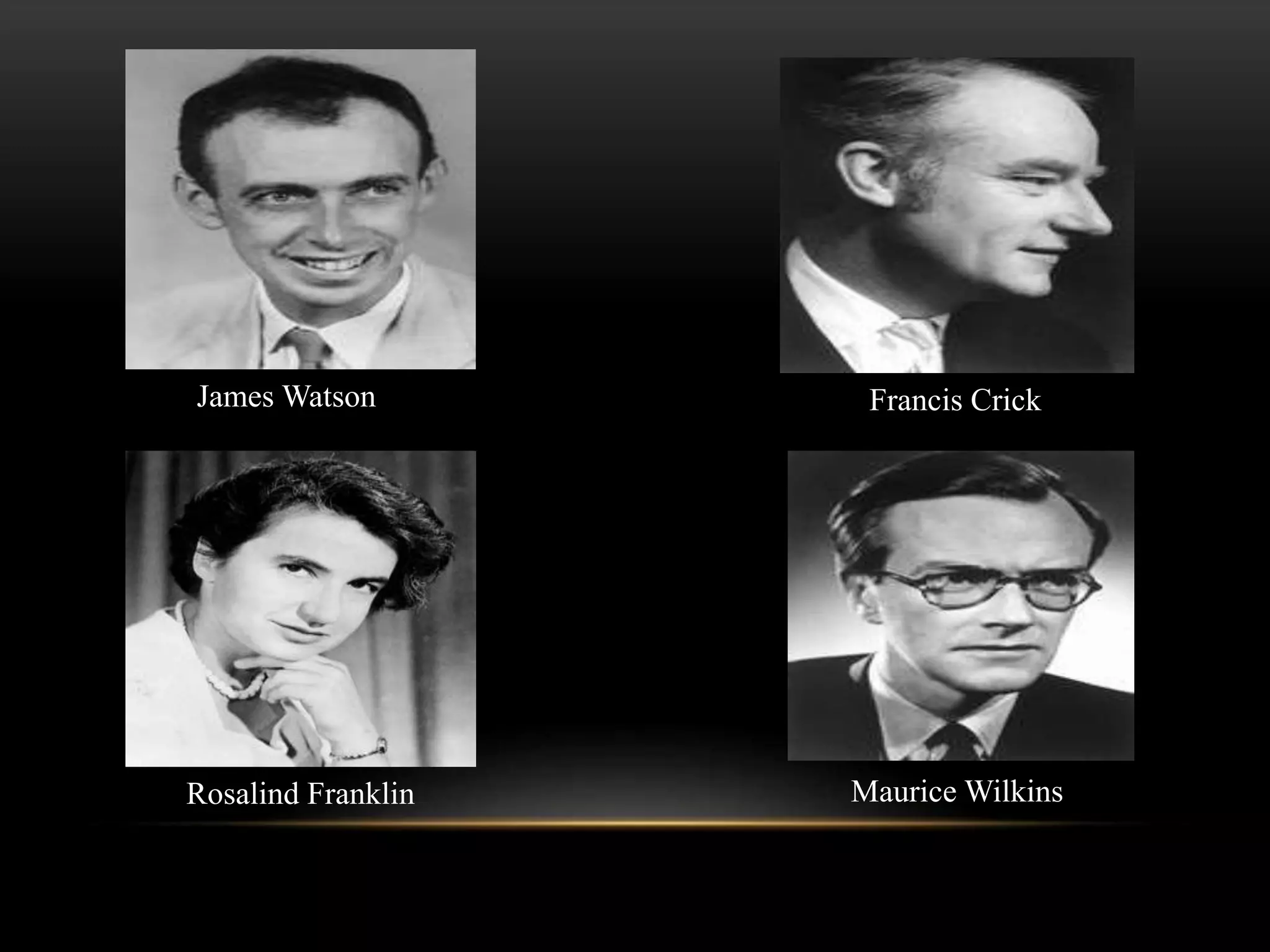 James Watson Francis Crick 
Rosalind Franklin Maurice Wilkins 
 