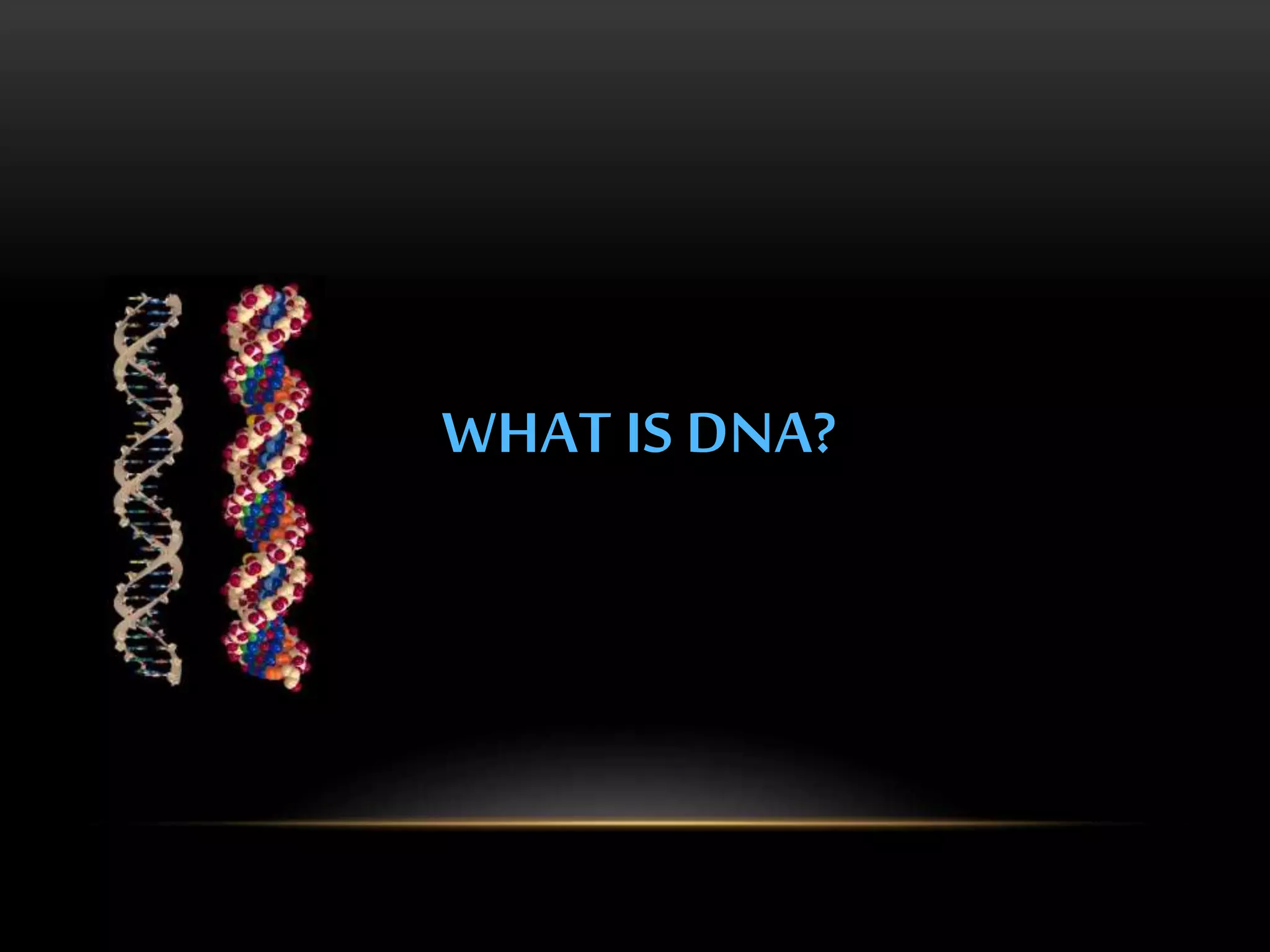 WHAT IS DNA? 
 