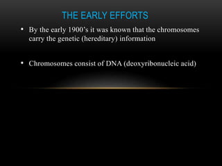 THE EARLY EFFORTS 
• By the early 1900’s it was known that the chromosomes 
carry the genetic (hereditary) information 
• Chromosomes consist of DNA (deoxyribonucleic acid) 
 