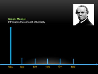 Gregor Mendel: 
Introduces the concept of heredity 
1865 1909 1911 1929 1944 1950 
 