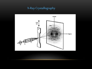 X-Ray Crystallography 
 