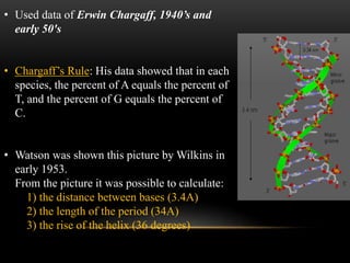 • Used data of Erwin Chargaff, 1940’s and 
early 50's 
• Chargaff’s Rule: His data showed that in each 
species, the percent of A equals the percent of 
T, and the percent of G equals the percent of 
C. 
• Watson was shown this picture by Wilkins in 
early 1953. 
From the picture it was possible to calculate: 
1) the distance between bases (3.4A) 
2) the length of the period (34A) 
3) the rise of the helix (36 degrees) 
 