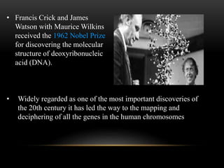 • Francis Crick and James 
Watson with Maurice Wilkins 
received the 1962 Nobel Prize 
for discovering the molecular 
structure of deoxyribonucleic 
acid (DNA). 
• Widely regarded as one of the most important discoveries of 
the 20th century it has led the way to the mapping and 
deciphering of all the genes in the human chromosomes 
 