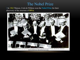 The Nobel Prize 
• In 1962Watson, Crick & Wilkins won the Nobel Prize for their 
discovery of the structure of DNA. 
 