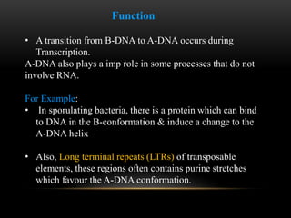 Function 
• A transition from B-DNA to A-DNA occurs during 
Transcription. 
A-DNA also plays a imp role in some processes that do not 
involve RNA. 
For Example: 
• In sporulating bacteria, there is a protein which can bind 
to DNA in the B-conformation & induce a change to the 
A-DNA helix 
• Also, Long terminal repeats (LTRs) of transposable 
elements, these regions often contains purine stretches 
which favour the A-DNA conformation. 
 