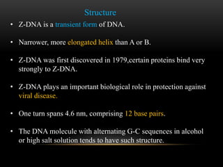 Structure 
• Z-DNA is a transient form of DNA. 
• Narrower, more elongated helix than A or B. 
• Z-DNA was first discovered in 1979,certain proteins bind very 
strongly to Z-DNA. 
• Z-DNA plays an important biological role in protection against 
viral disease. 
• One turn spans 4.6 nm, comprising 12 base pairs. 
• The DNA molecule with alternating G-C sequences in alcohol 
or high salt solution tends to have such structure. 
 