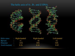The helix axis of A-, B-, and Z-DNA. 
Helix sense : Right-handed Right-handed Left-handed 
Bp/turn : 11 10 12 
Diameter : 23Ǻ 20Ǻ 18Ǻ 
Axial rise(nm) : 0.26 0.34 0.45 
 