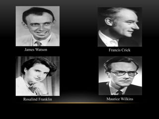 James Watson Francis Crick 
Rosalind Franklin Maurice Wilkins 
 
